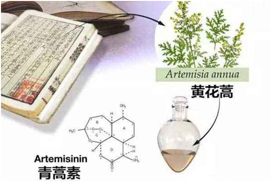 天博(中国)体育官方网站,：向中医药看齐，与世界共享中医药文化(图1)